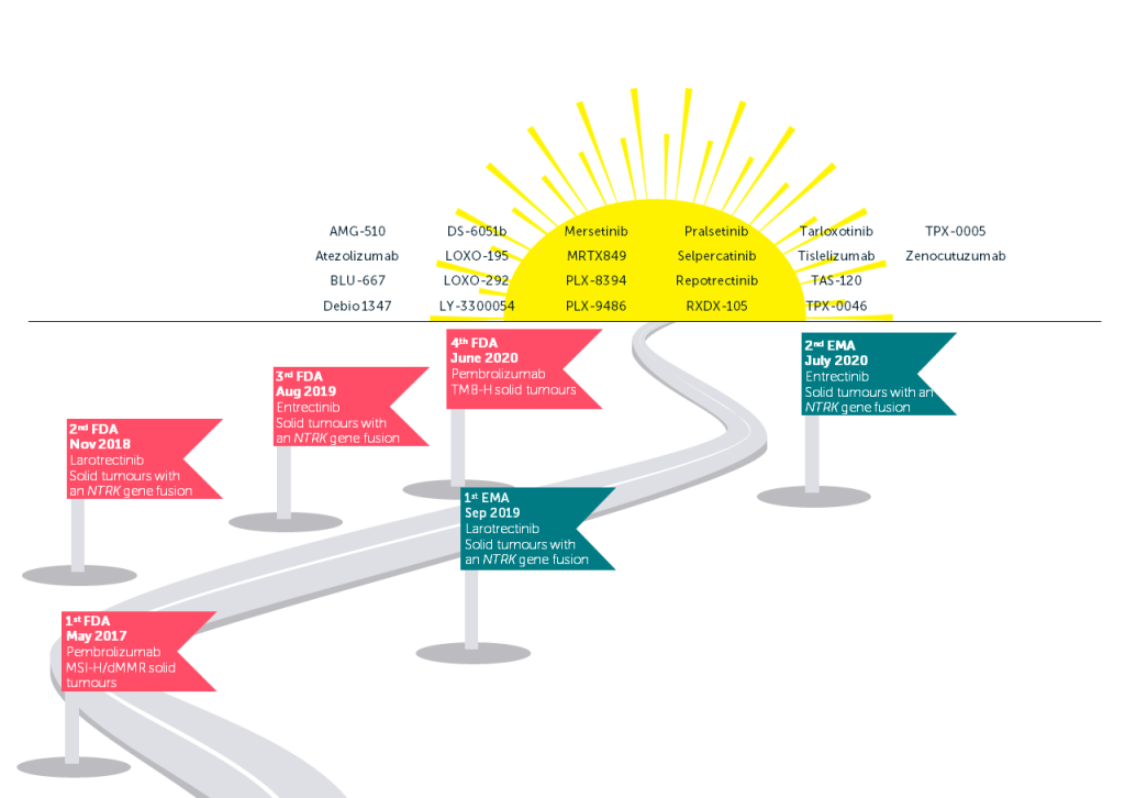 An overview of the Tumour-agnostic treatment landscape showing treatments against a sunset