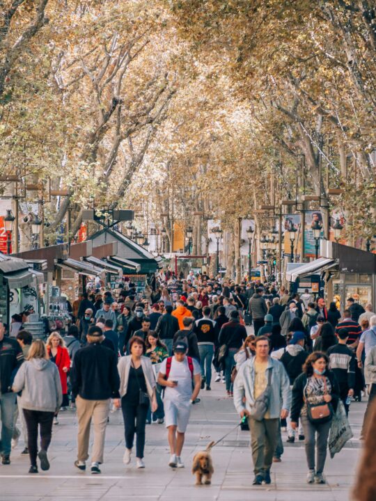 A busy street in Barcelona