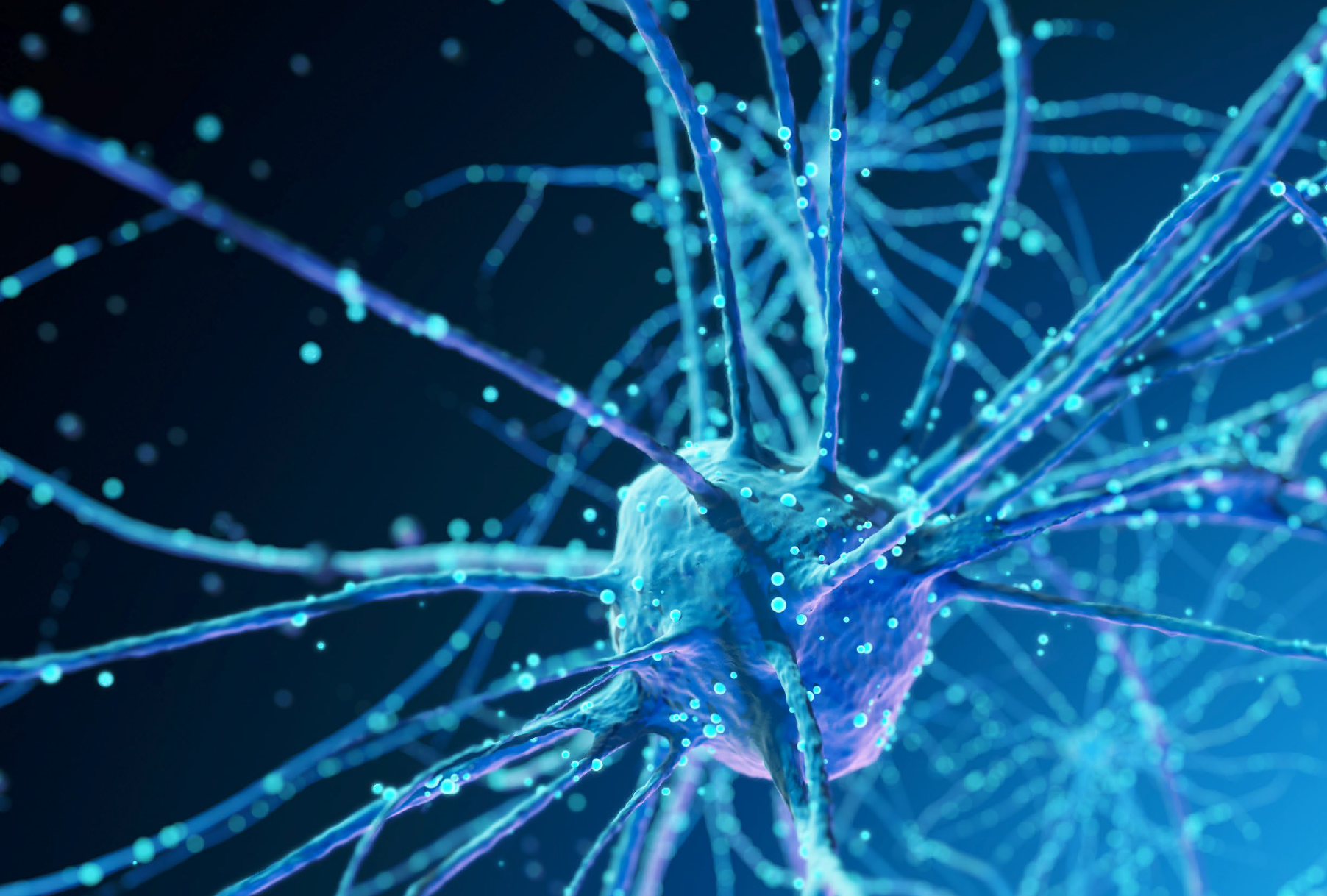 Drill Down & Catch Up: Autoimmune Neuroinflammatory Disorders