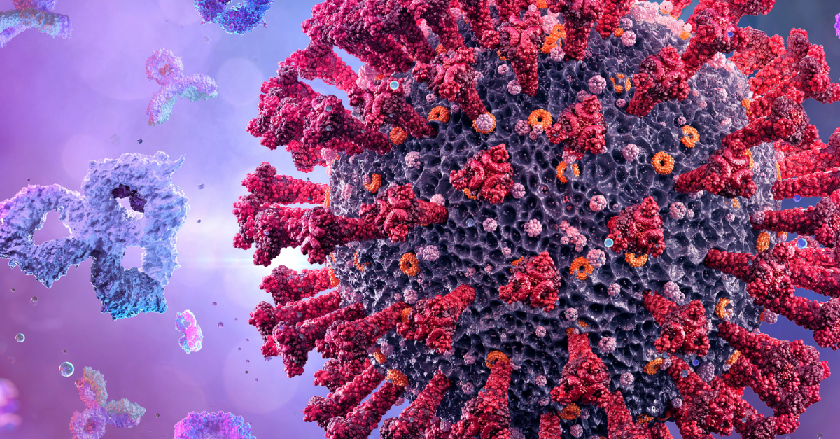 Antibody Drug Conjugates